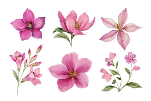 Download Pink Watercolor Flower Clipart Set - Flower clipart Collection