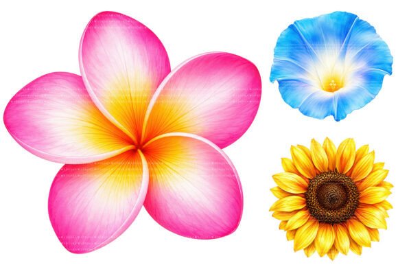 Download Vibrant Summer Flower Clipart - Flower clipart Collection